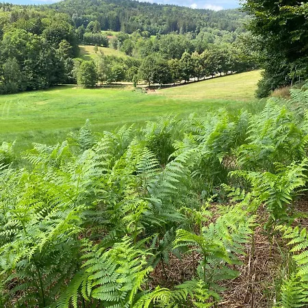 Huettenflair Im Gut Sonnenwald Apartmán *